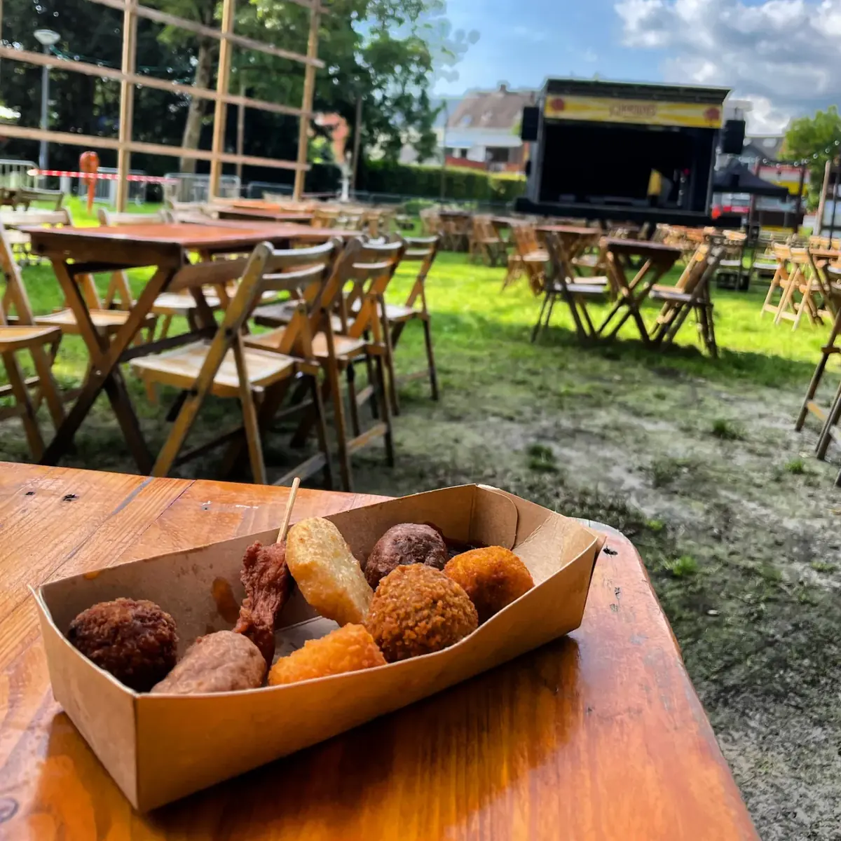 Stoofvlees met friet van De Frietbus op een tuinfeest