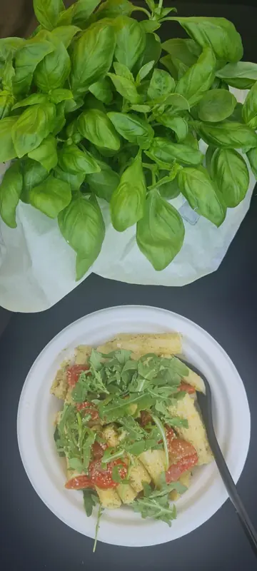 Droom XL, pizzatruck, te huur via Feestkarhuren.nl
