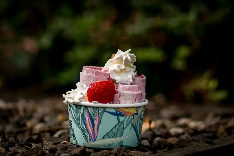 Ice Cream Roll Paradise, ijsfoodtruck, te huur via Feestkarhuren.nl