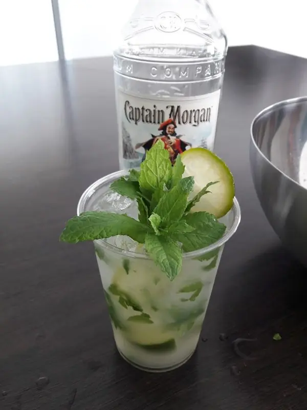 Kameleon, mobiele cocktailbar uit Antwerpen, te huur via Feestkarhuren.nl