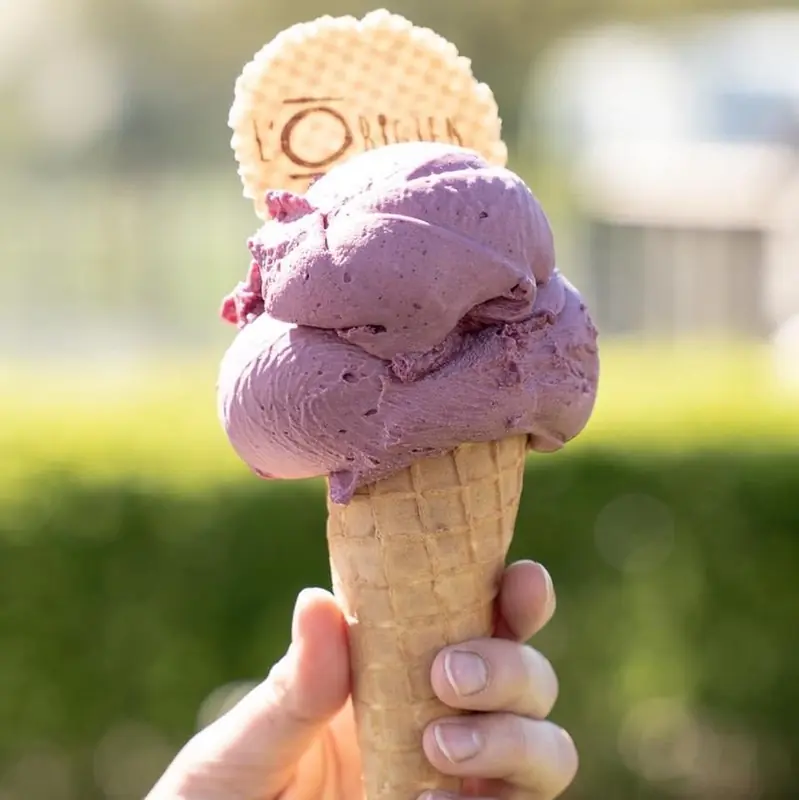 L'origien, ijsfoodtruck, te huur via Feestkarhuren.nl