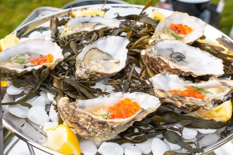 Slurp, mobiele cocktailbar uit Zuid-Holland, te huur via Feestkarhuren.nl